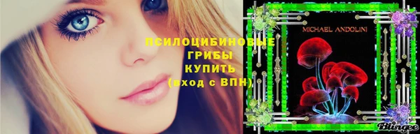 PSILOCYBIN Дмитриев