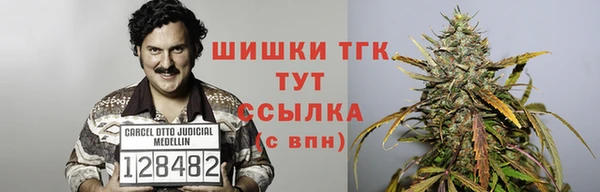 PSILOCYBIN Дмитриев