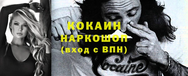 PSILOCYBIN Дмитриев