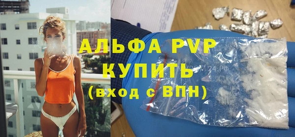 PSILOCYBIN Дмитриев