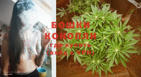 кокс Дмитров