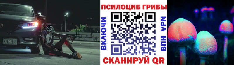 Купить  Крымск  Псилоцибиновые грибы Magic Shrooms 
