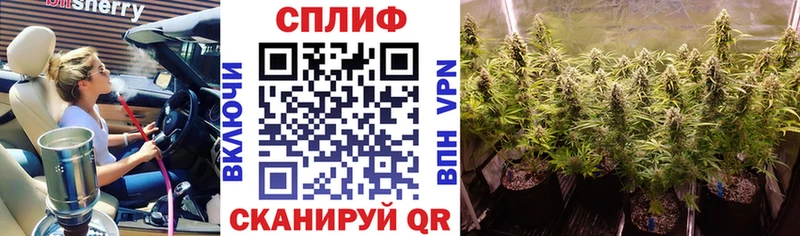 Купить где  Крымск  МАРИХУАНА конопля 