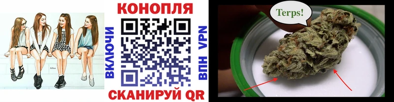 Конопля Bruce Banner Крымск